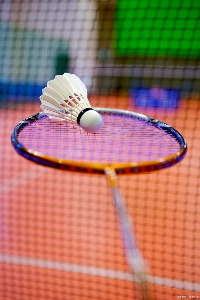 速度与选择 速度与选择